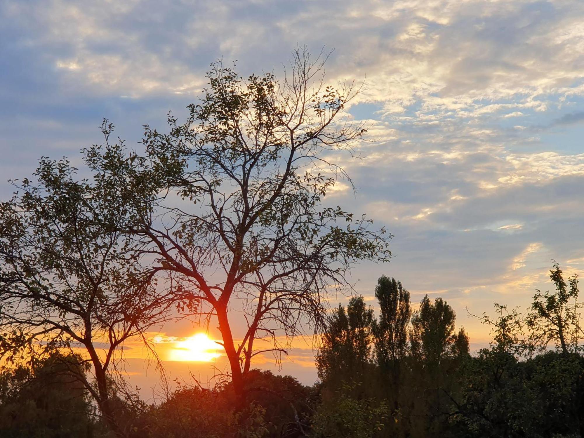 Weinhof Reichmann Bed & Breakfast Sankt Peter am Ottersbach Ngoại thất bức ảnh