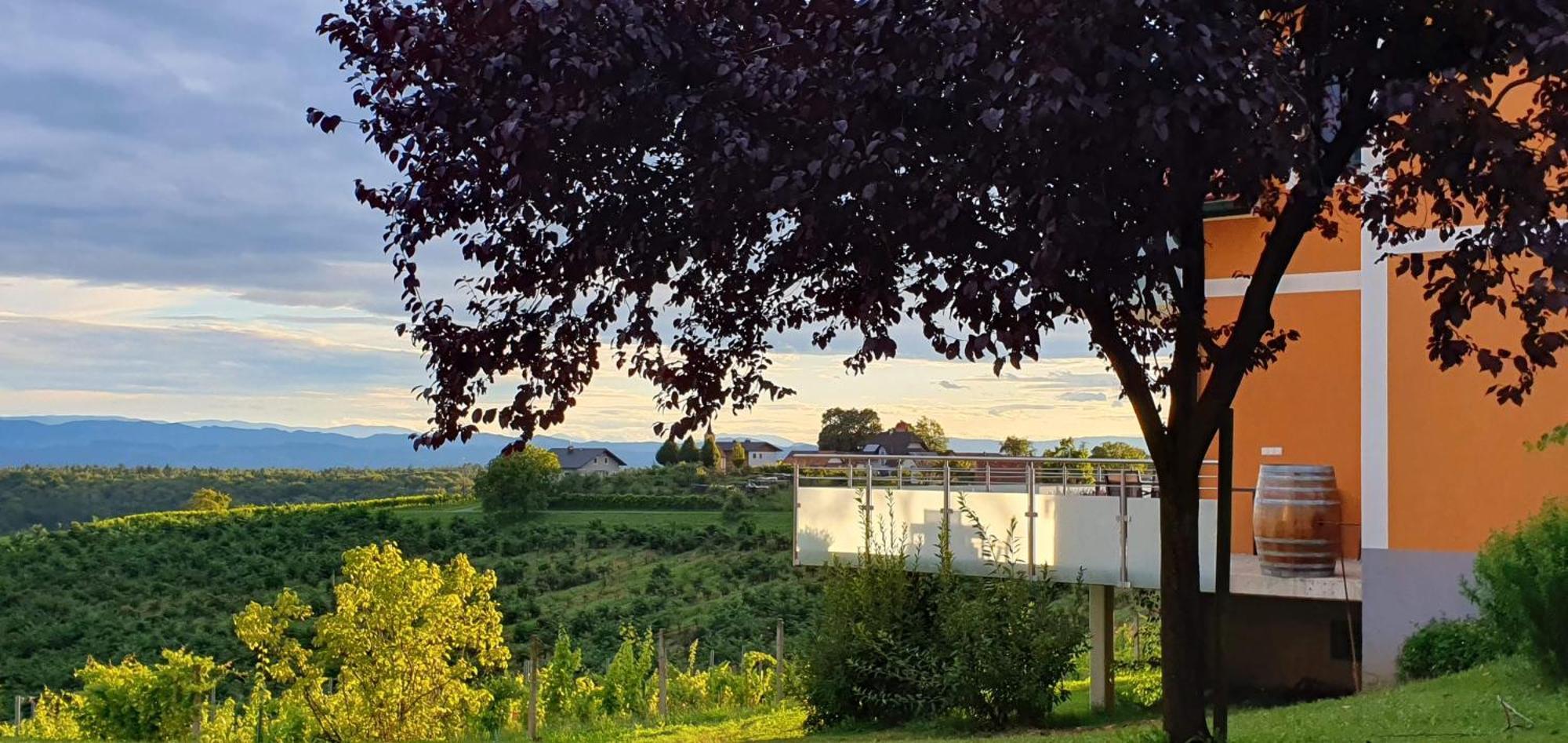 Weinhof Reichmann Bed & Breakfast Sankt Peter am Ottersbach Ngoại thất bức ảnh