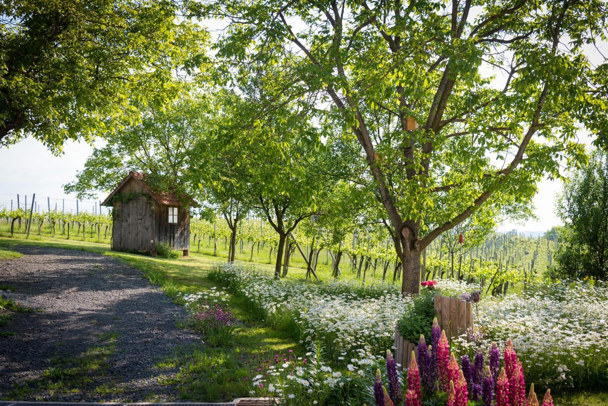 Weinhof Reichmann Bed & Breakfast Sankt Peter am Ottersbach Ngoại thất bức ảnh